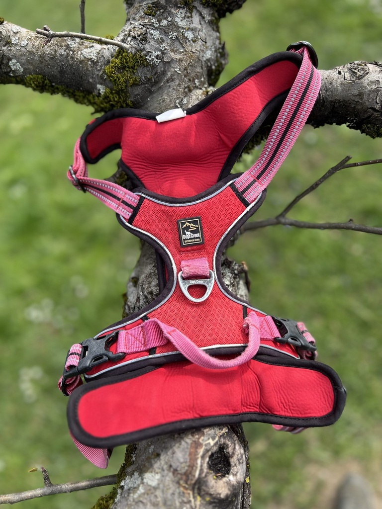 [2118.dr] Harnais dogs creek XL
