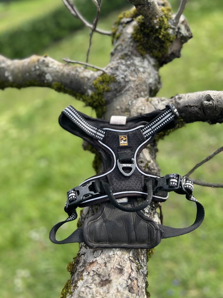 [2097] Harnais dogs creek S