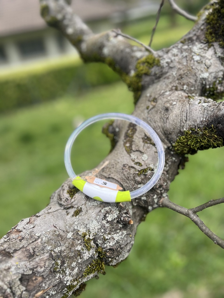 [2112.7] Collier lumineux