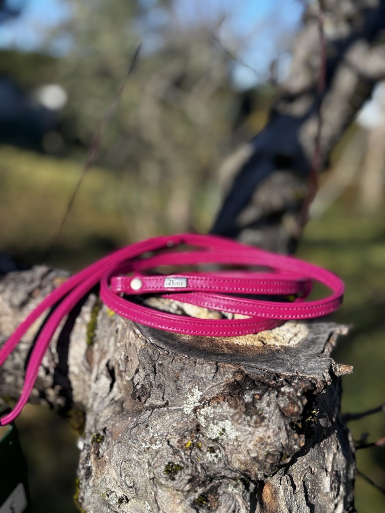 [HunterELKrose] Laisse cuir rose