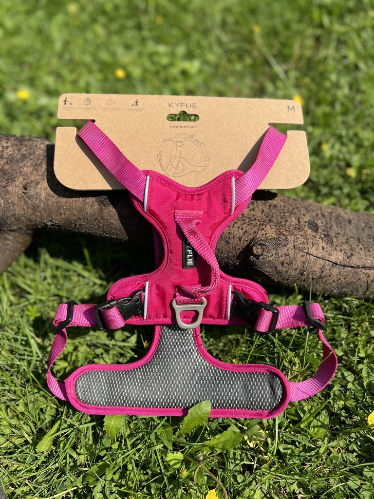 [2203.2] Kyflie Momentum rose M