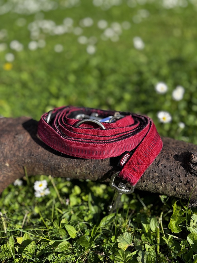 [2190.210] Laisse 3 point Nobby