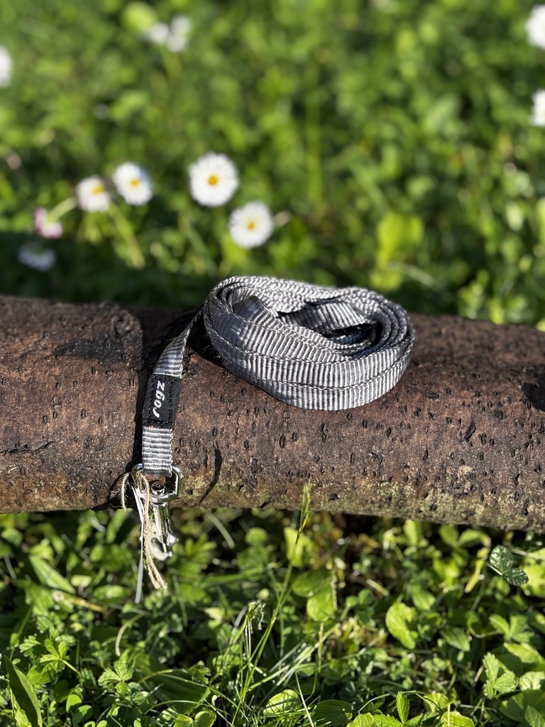 [2190.206] Laisse XS Rogz grise