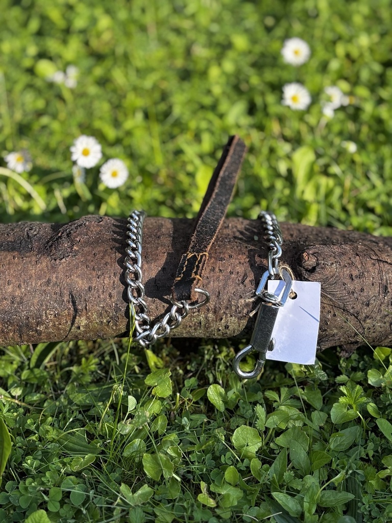 [2190.207] Laisse chaine 78cm