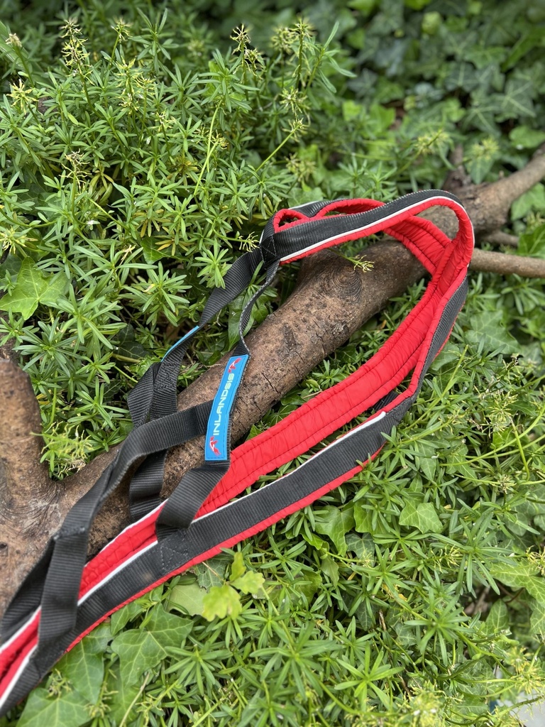 [tractioninlandsis] Harnais traction 20- 22kg