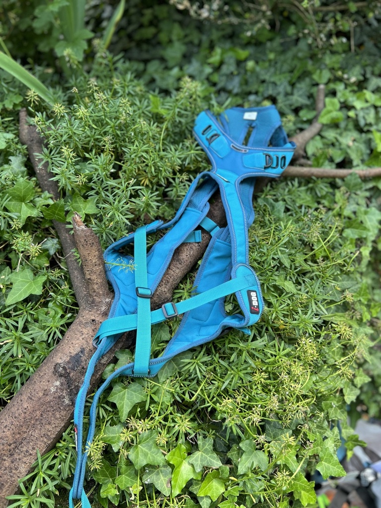 [2168.43-1] Harnais de traction Idog