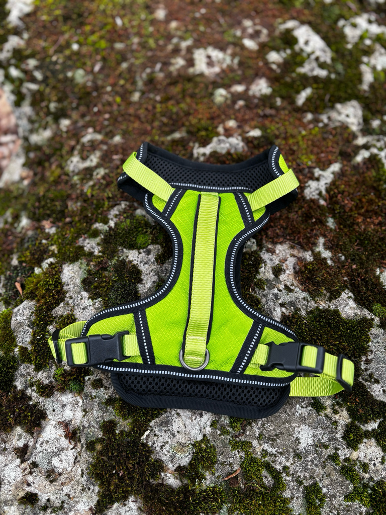 [262] Harnais Y vert fluo