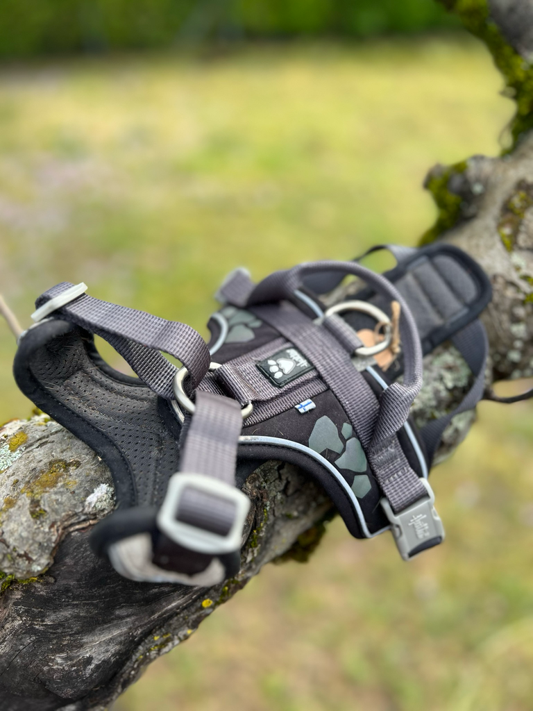 [1784] Harnais Weekend Warrior Hurtta