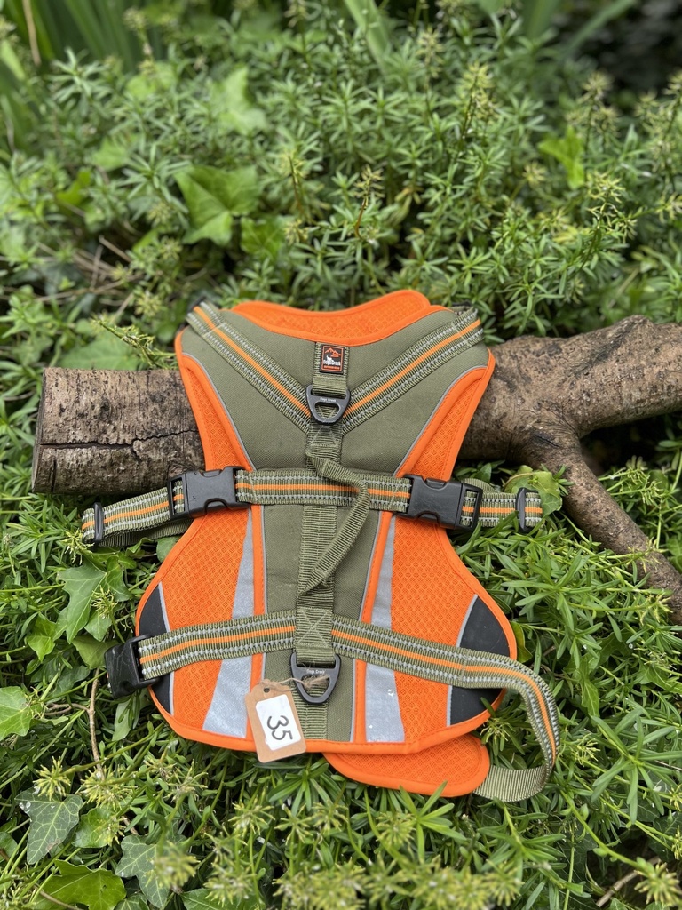 [2095.4-1] Harnais de sécurité L