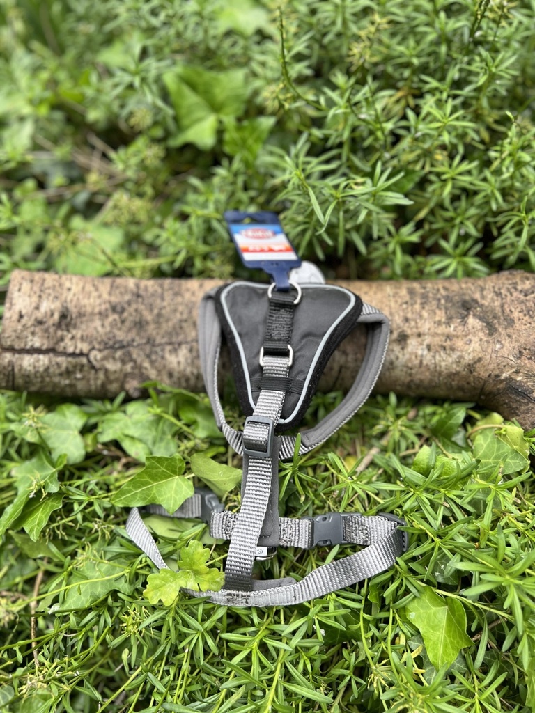 [H-1-0-1-1-1-1-1-1] Harnais XS-S gris