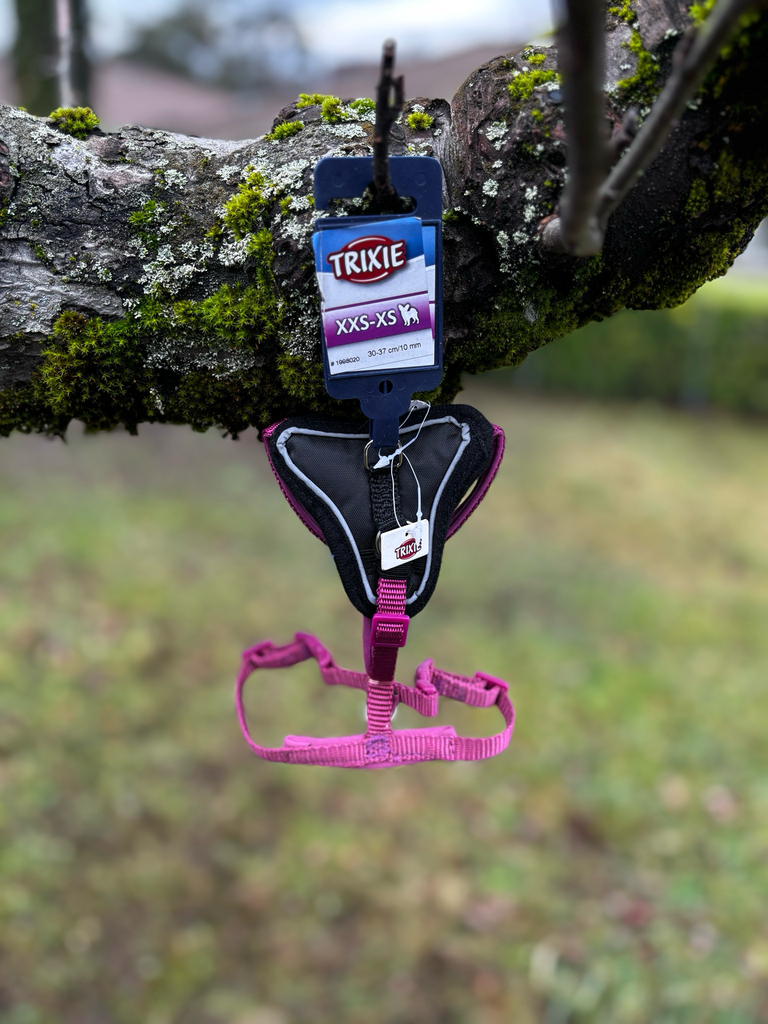 [1062] Harnais Trixie rose XXS-Xs