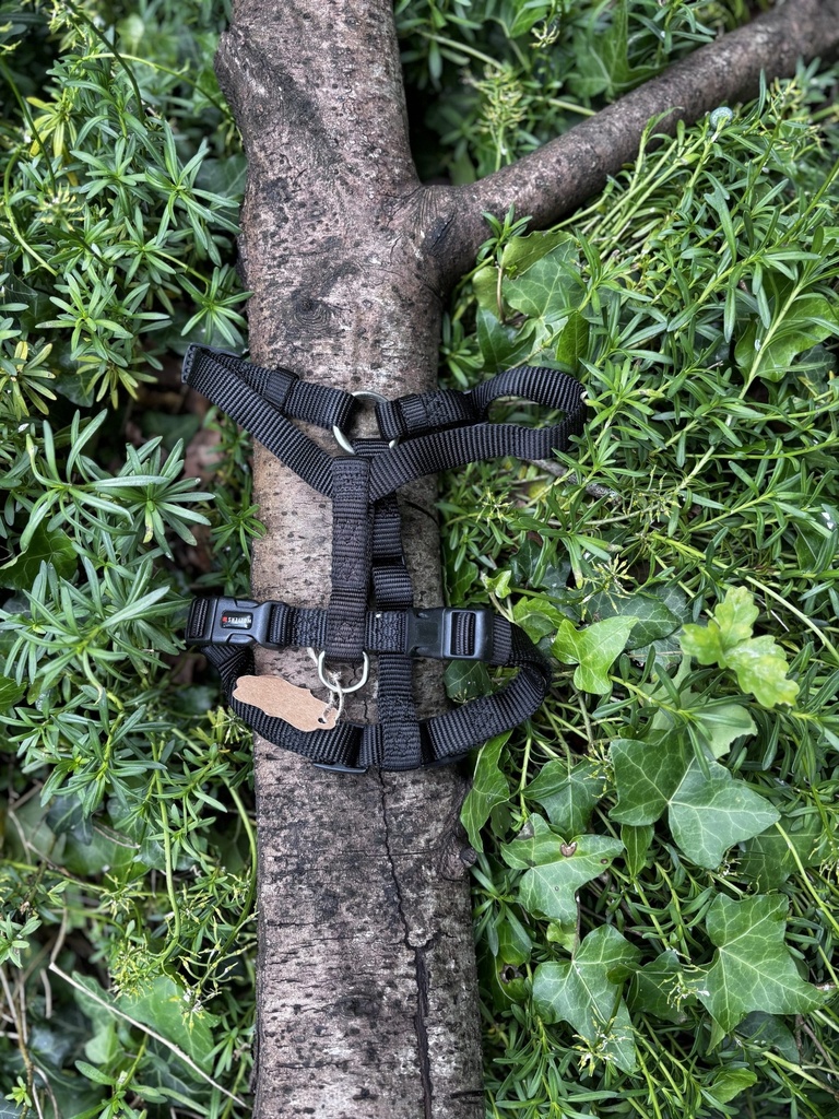 [2190.129] Harnais H noir Walters S