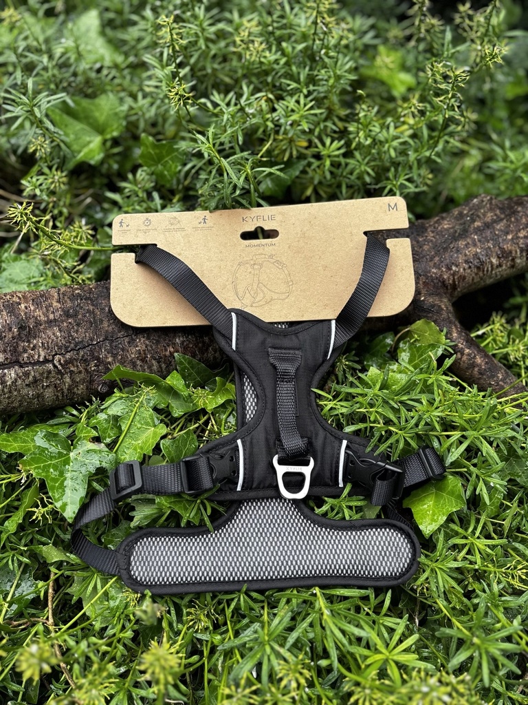 [2181] Kyflie Momentum noir M