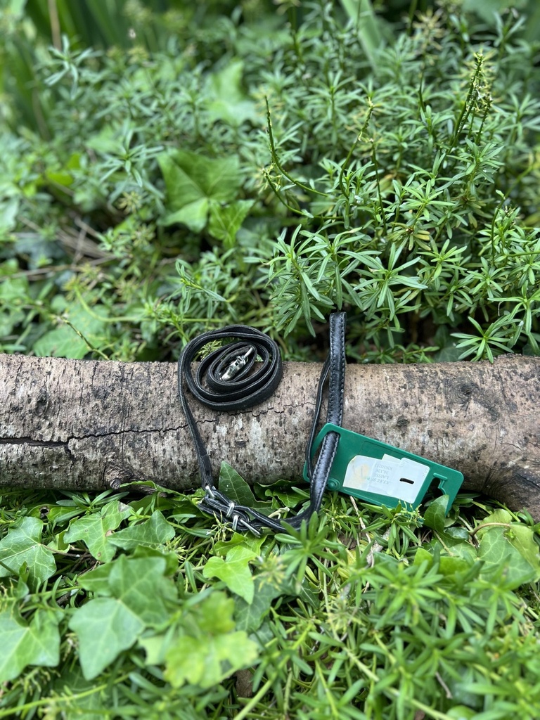 [2030] Laisse cuir noir 1m