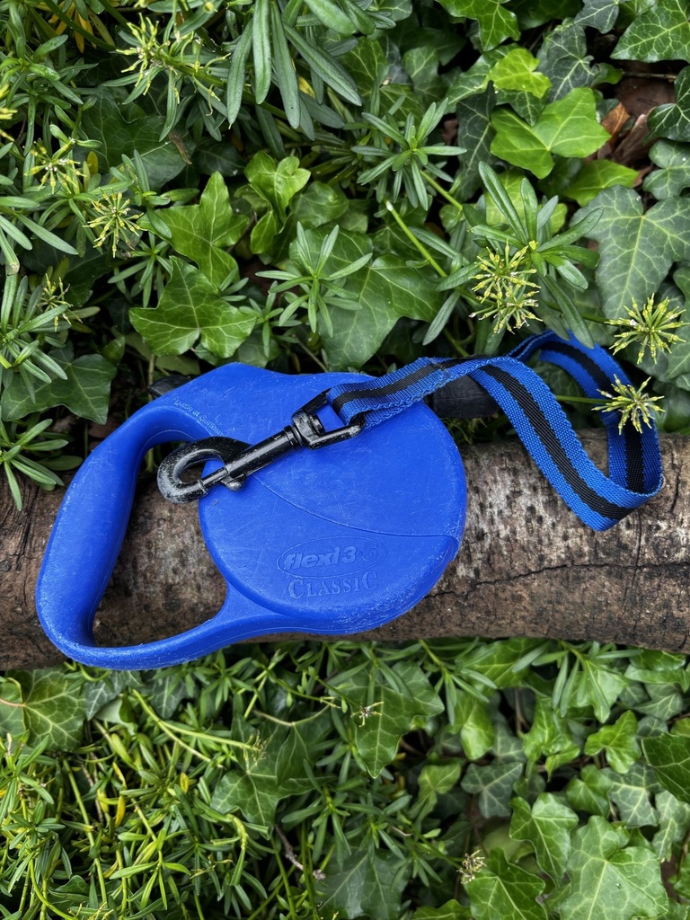 [2190.98] Flexi bleu 5m