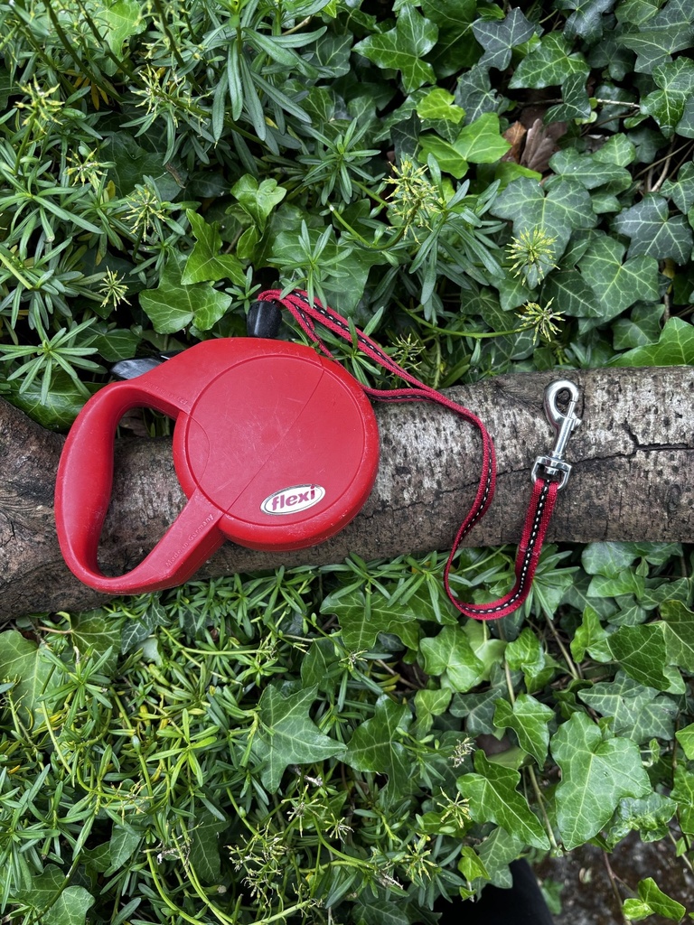 [2190.86] Flexi Classic 7m