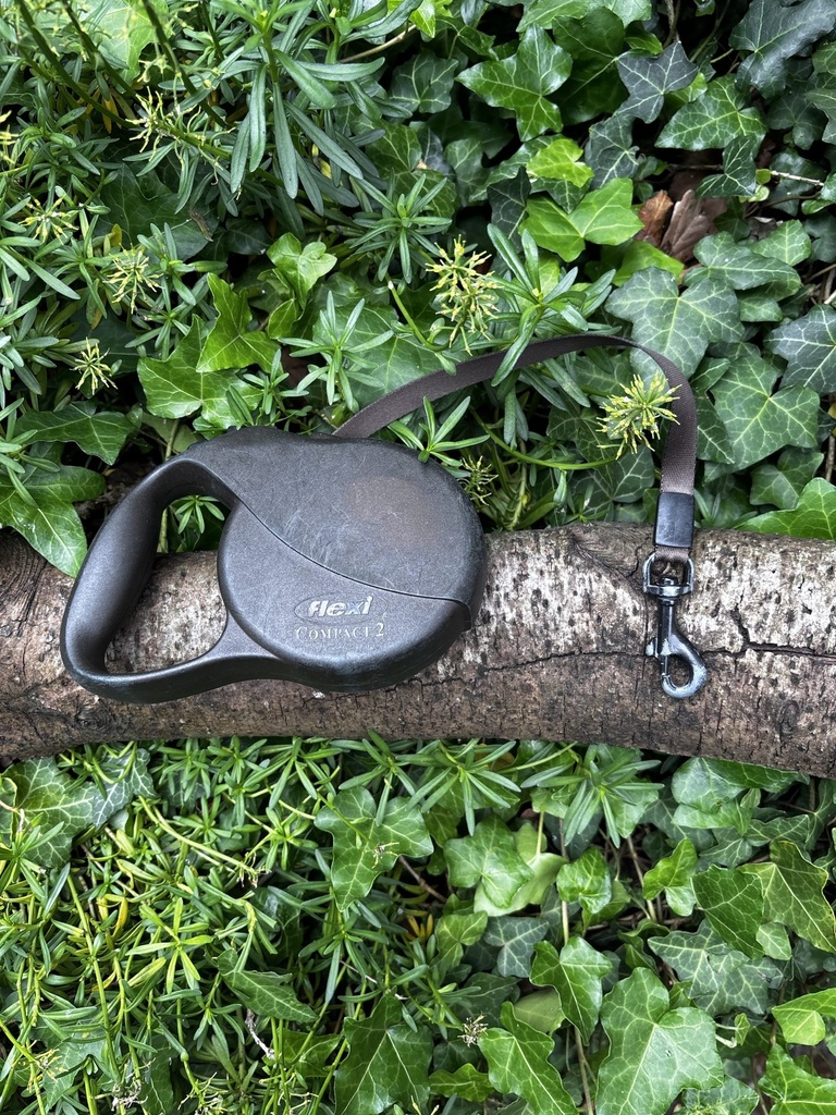 [2190.120] Flexi Classic 5m