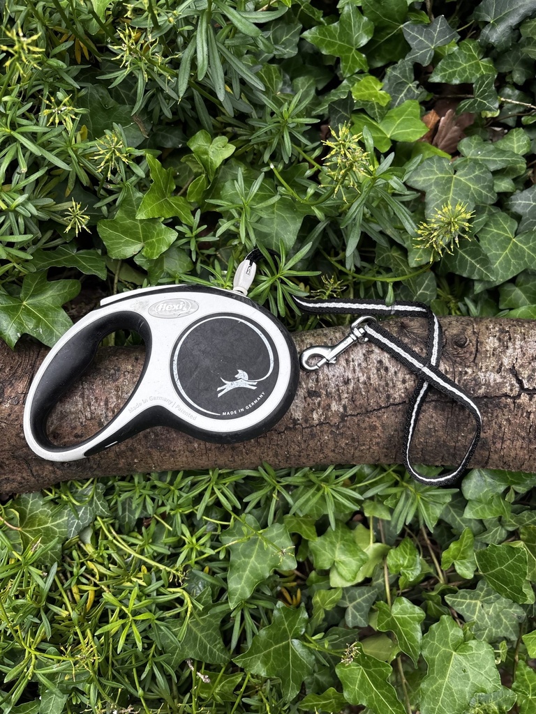 [2190.147] Flexi S corde 5m