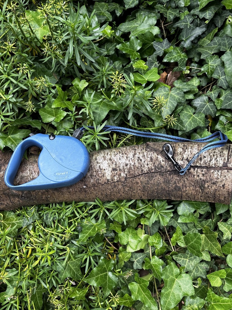 [2190.96] Flexi classic bleu 5m