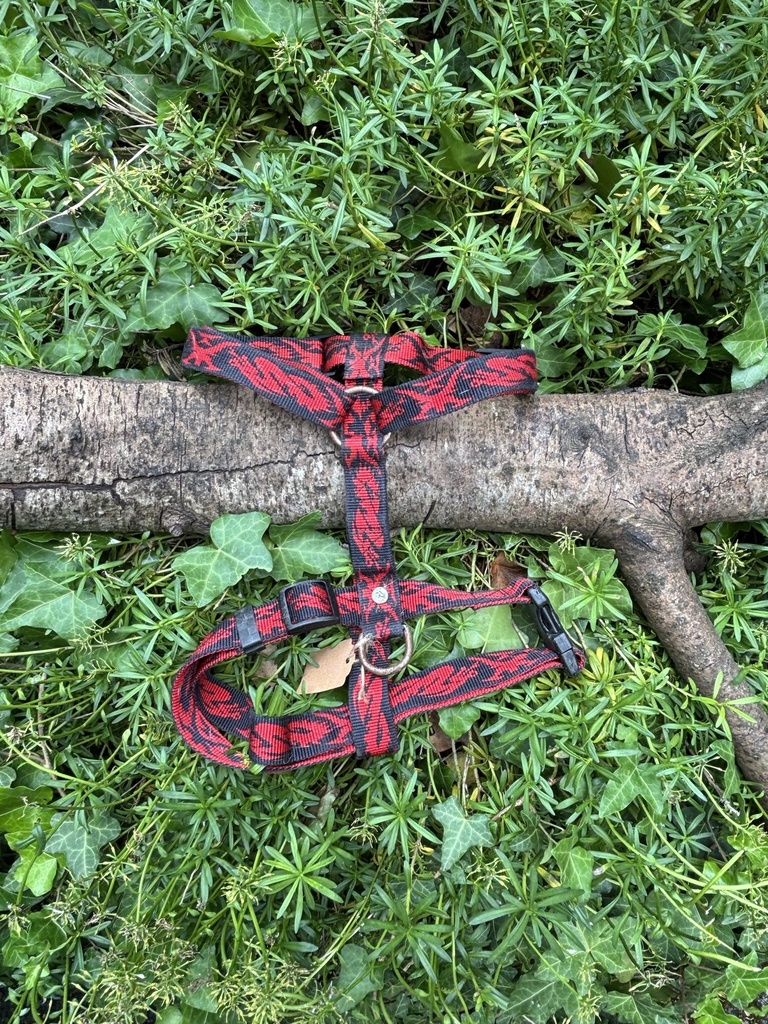 [2190.50-1] Harnais Martin Sellier M