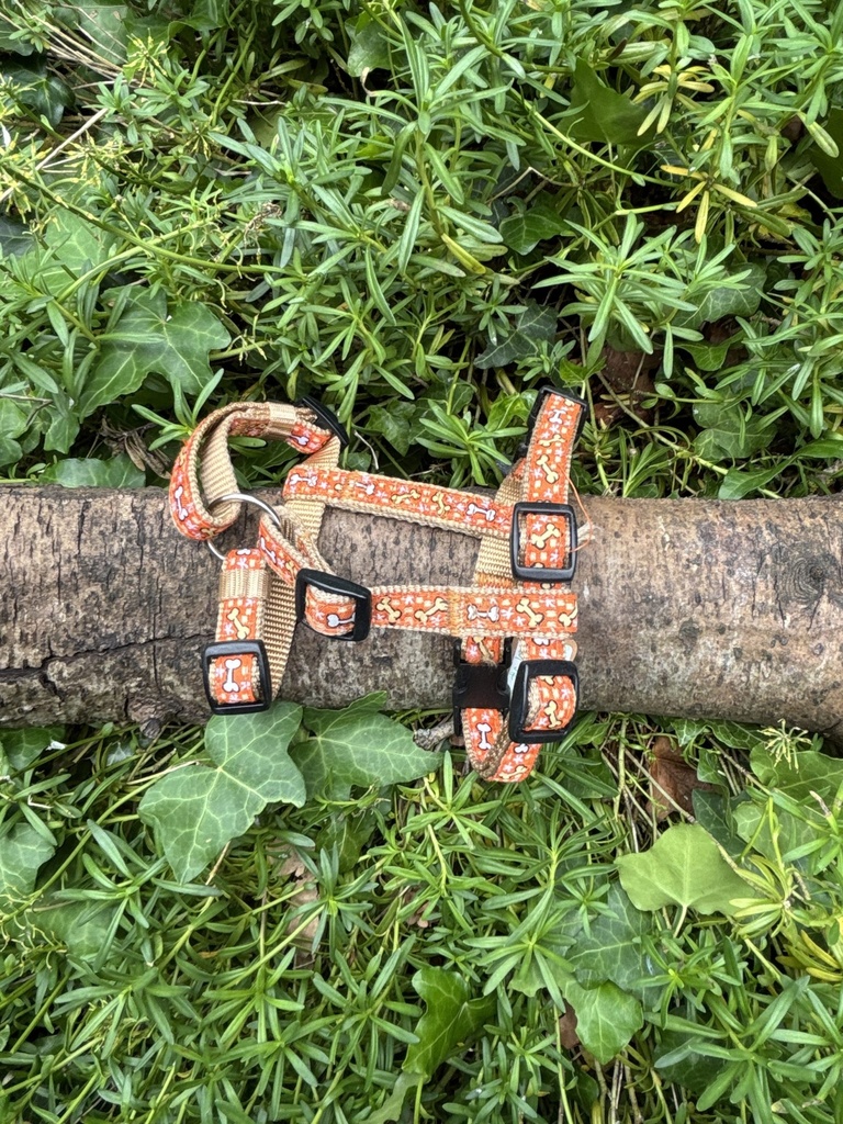 [2190.168] Harnais Trixie S