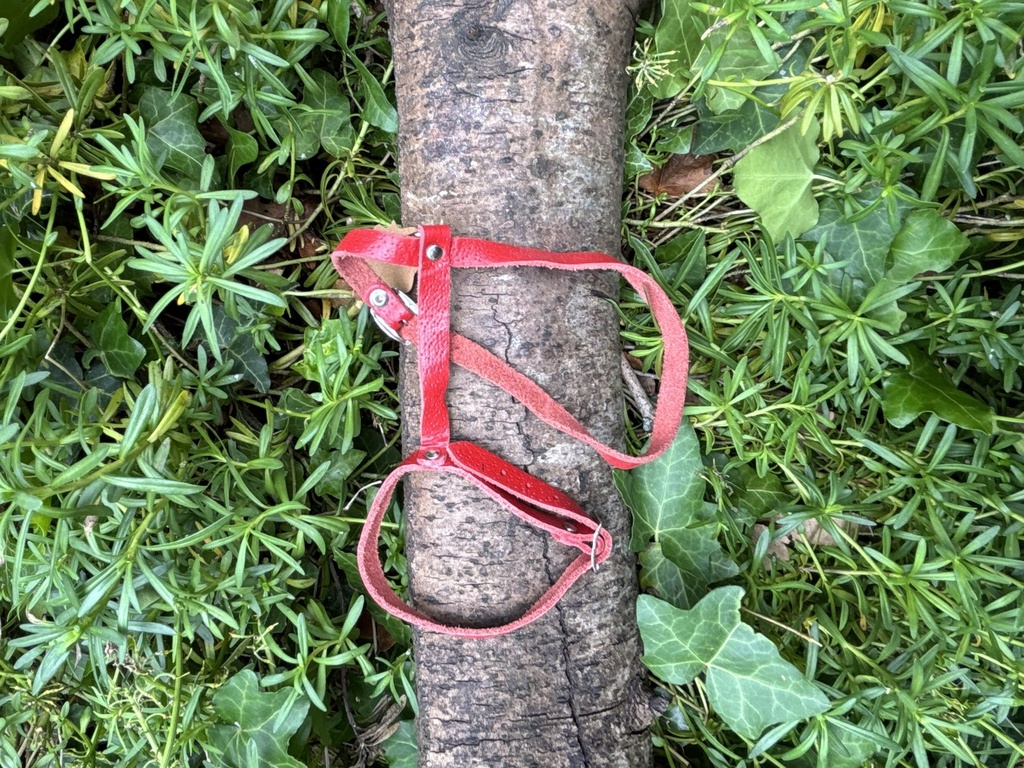 [2190.133] Harnais H cuir S