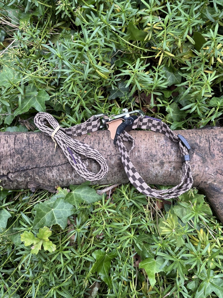 [2164.89778562] Collier/laisse 33- 52cm