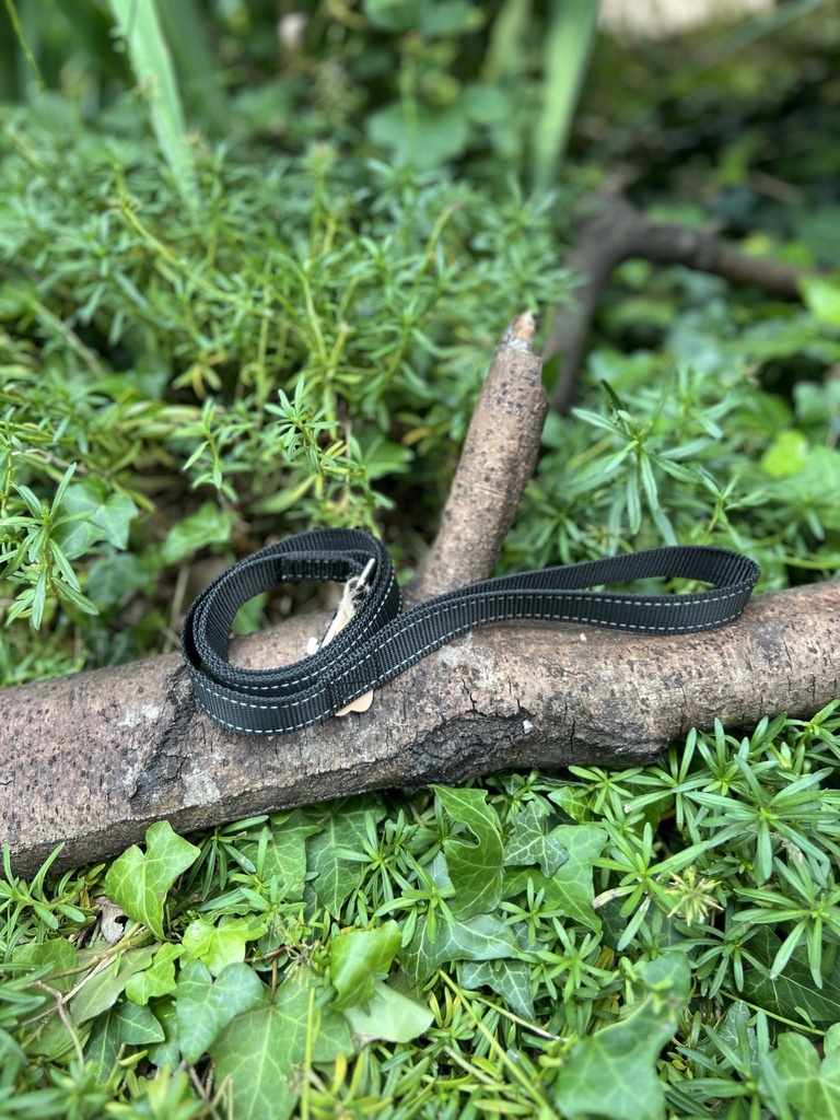 [2190.43333] Laisse noire 125cm