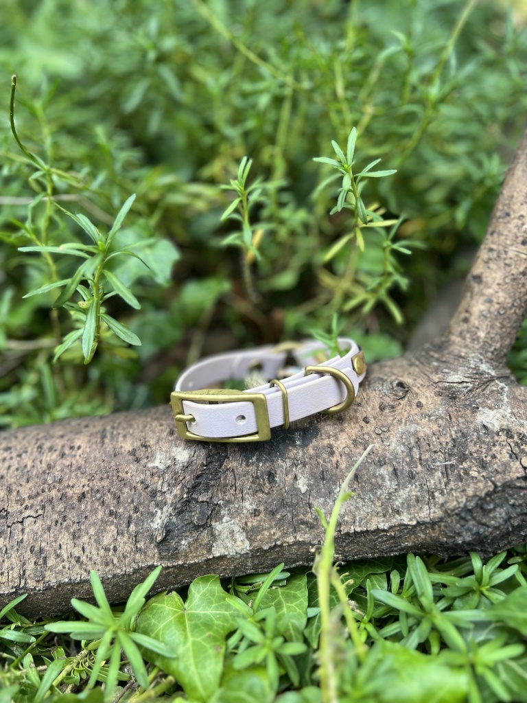 [2210.cbio] Collier Biothane Le MUSO 23-29cm