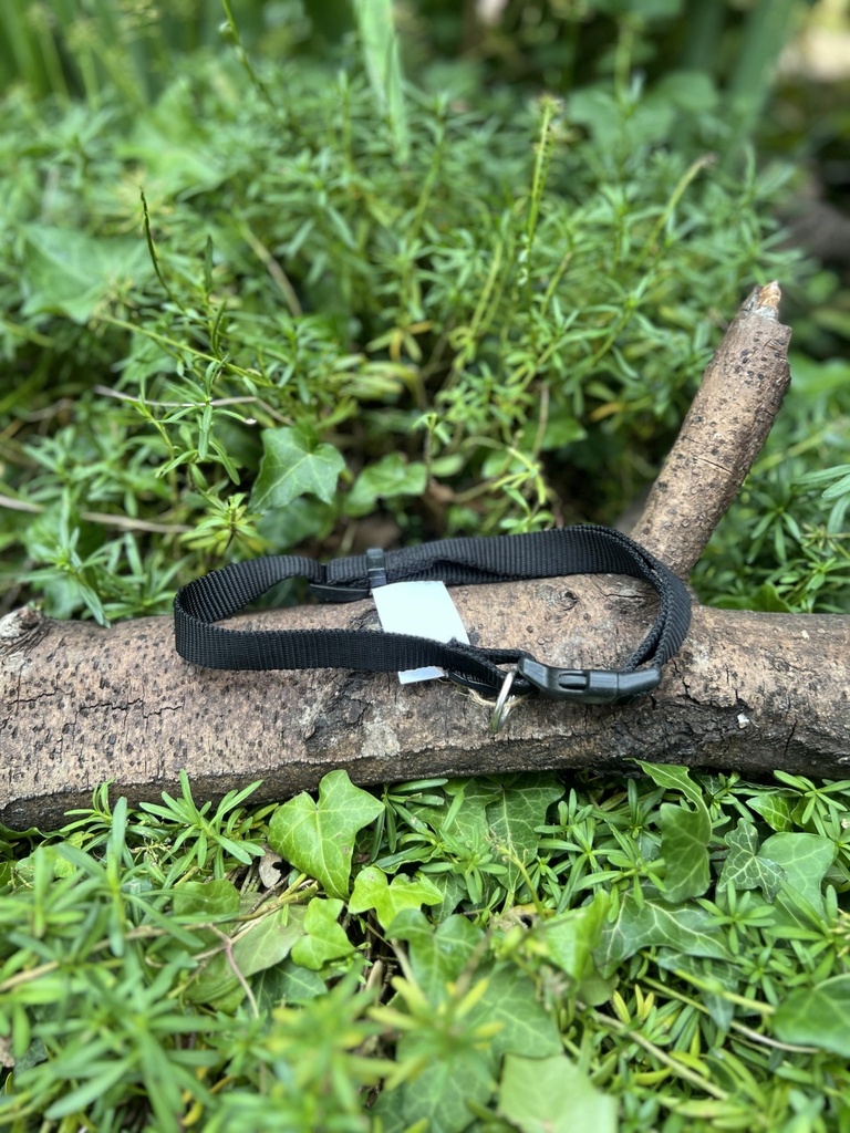 [2190-165-2-6] Collier Flamingo 38-64cm