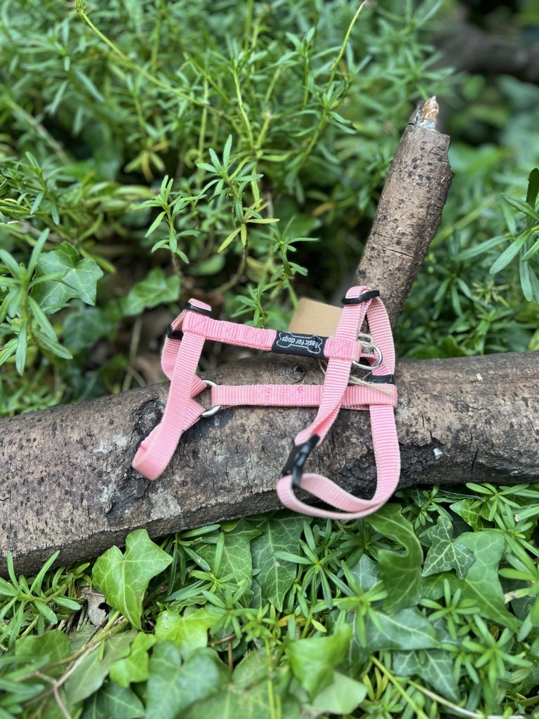 [basicdogsrose 2212] Harnais H rose XS
