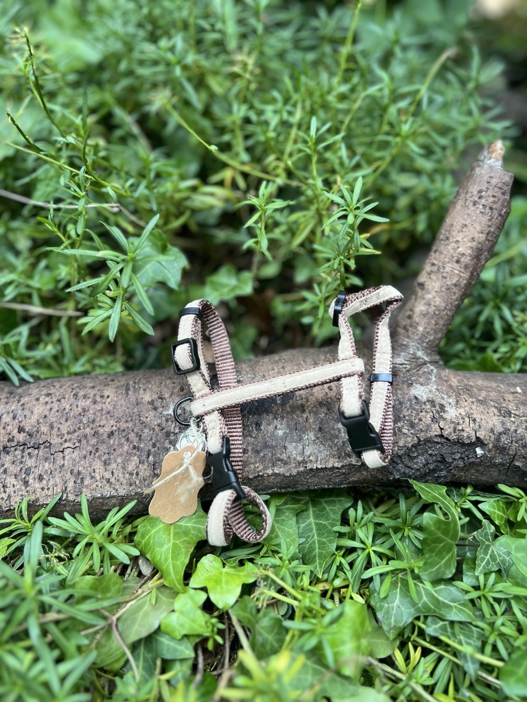 [2190.1244444] Harnais Moore S