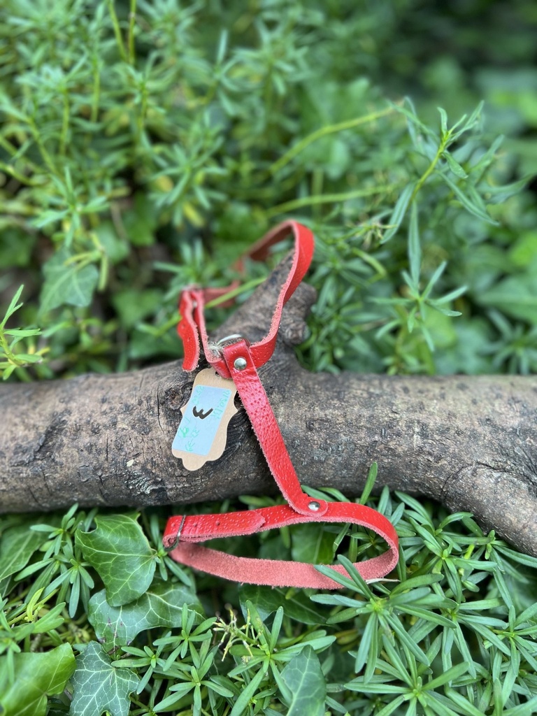 [2190.131] Harnais H rouge XS-S cuir