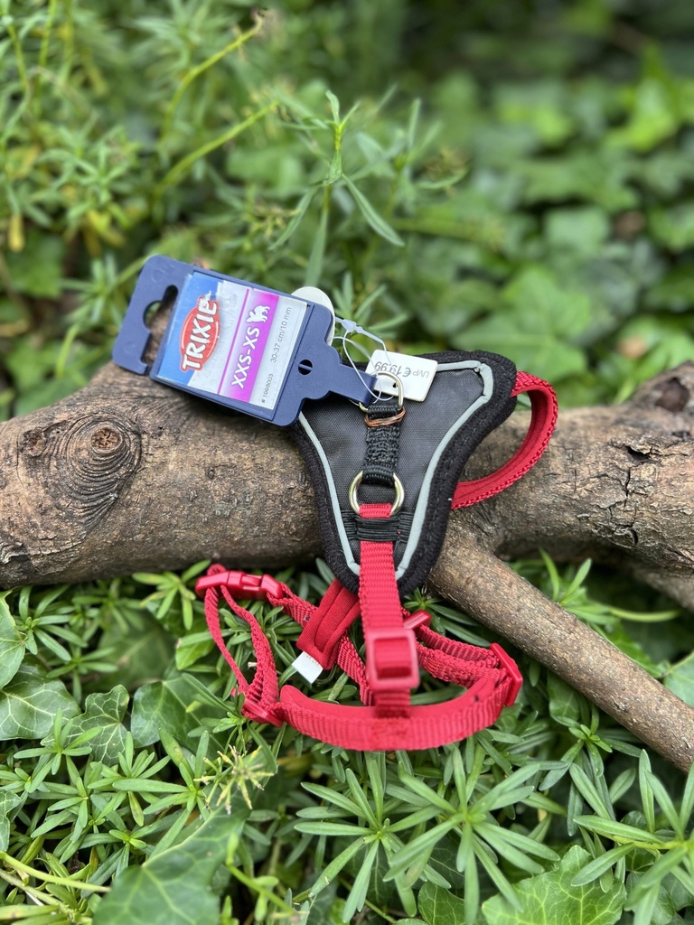 [223] Harnais Y rouge XXS-XS