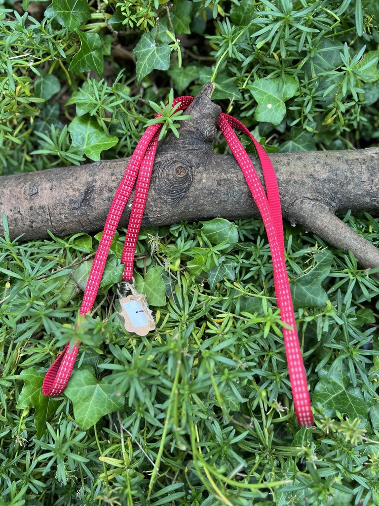 [2060.rouge] Laisse rouge 120cm