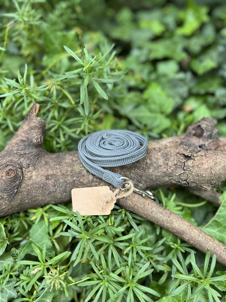 [2028.0987658] Laisse grise 120cm