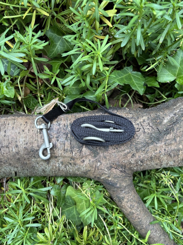 [2190.200] Laisse 3 points noir