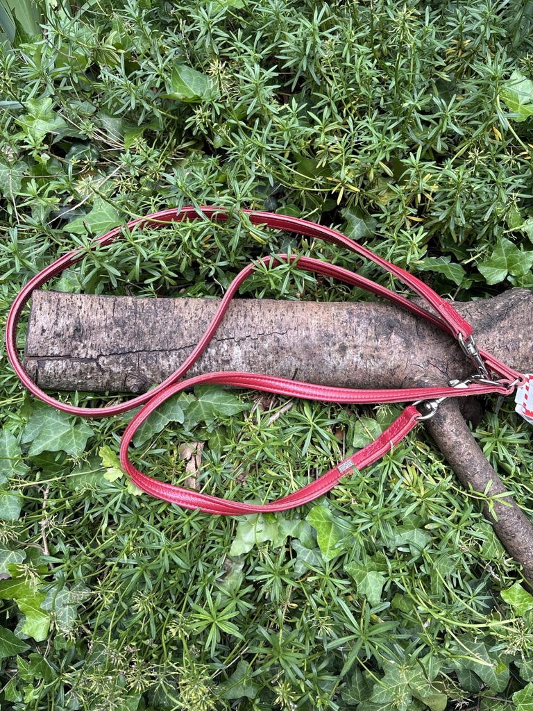 [2190.116] Laisse 3 points cuir