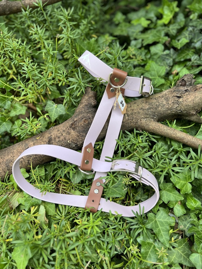 [2177.1] Harnais Biothane lila