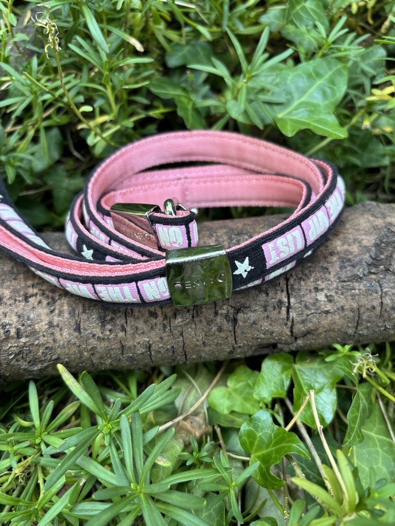 [2190.envyy] Laisse Envy 115cm