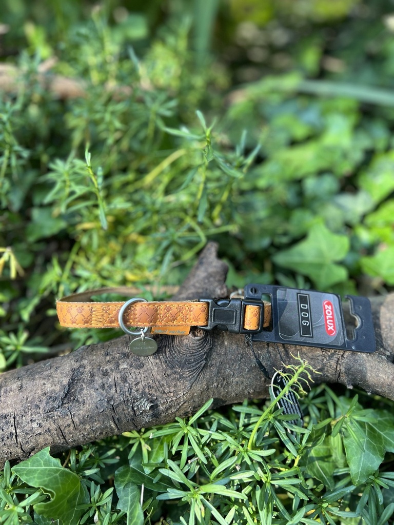 [2190.zoluxorange] Collier orange 29-41cm