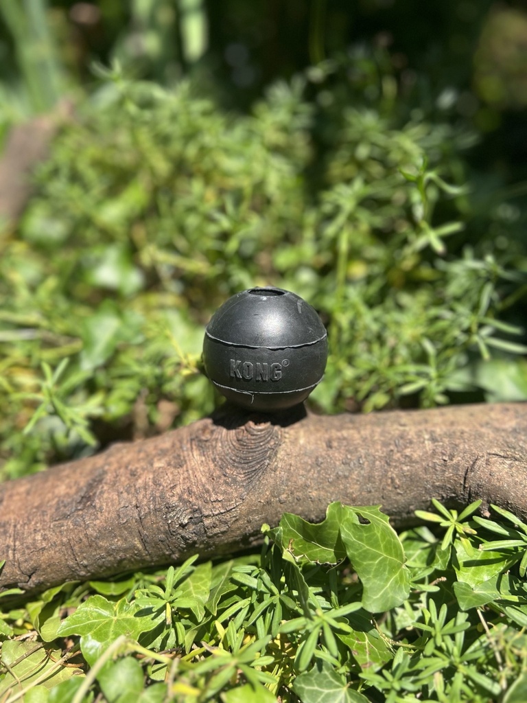 [2230] Balle KONG Extreme S