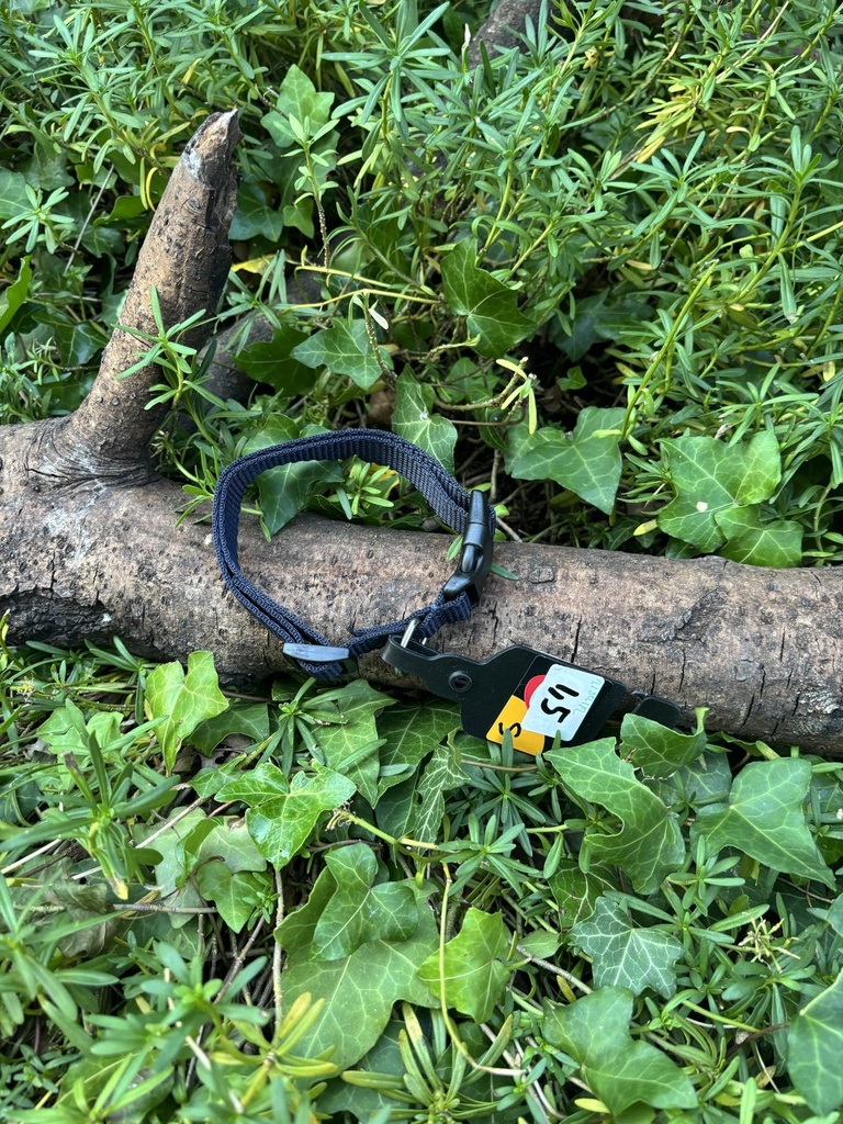 Collier bleu marine 28-43cm