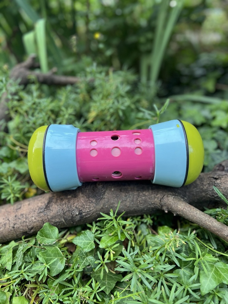 [2227.pipolino] Pipolino L