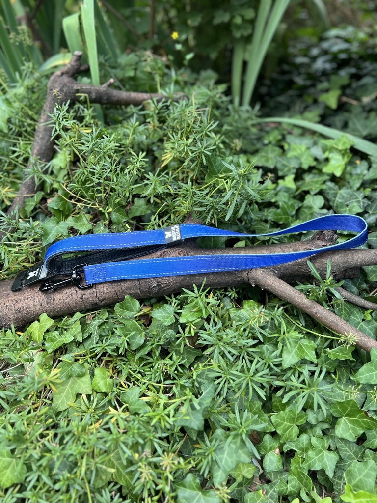 [2231.laissebleu] Laisse bleu Martin Sellier 2,5X100cm