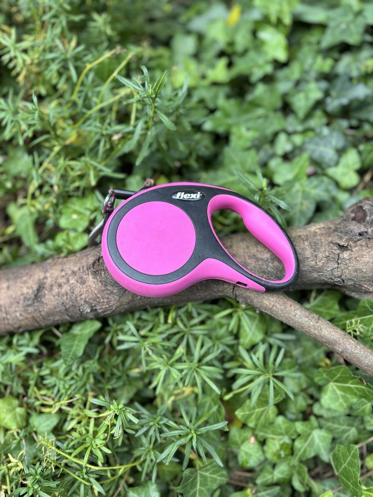 [2258.felxiroses] Flexi S rose 5m