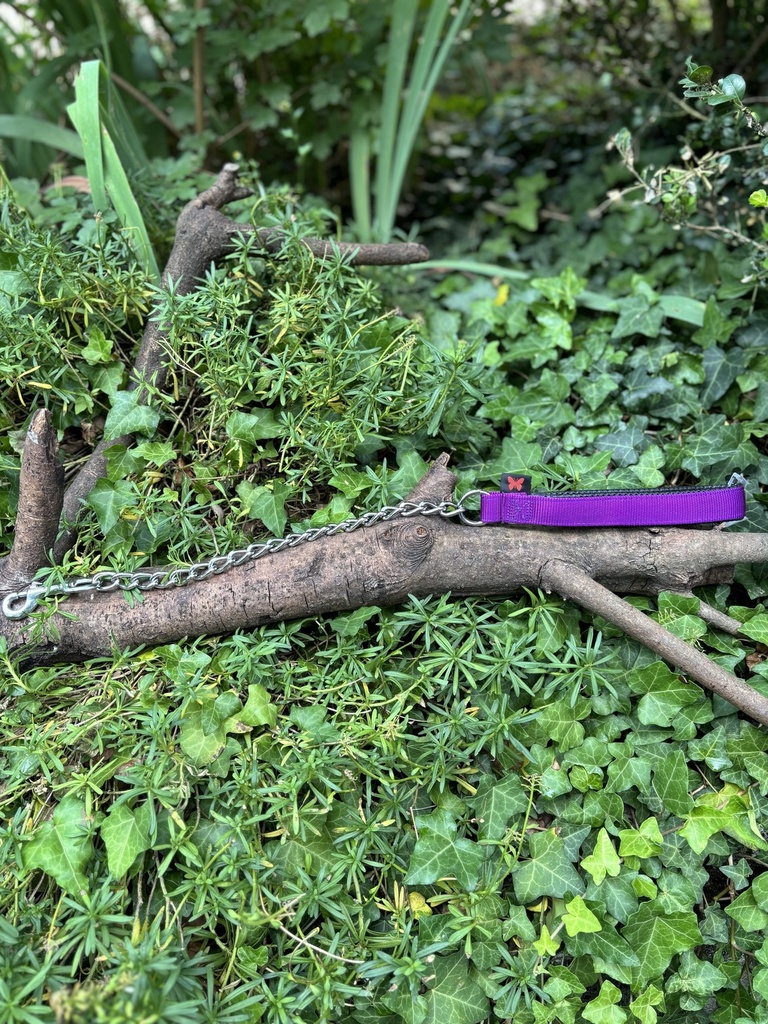 [2231.chaine60violette] Laisse chaine 60cm Martin Sellier