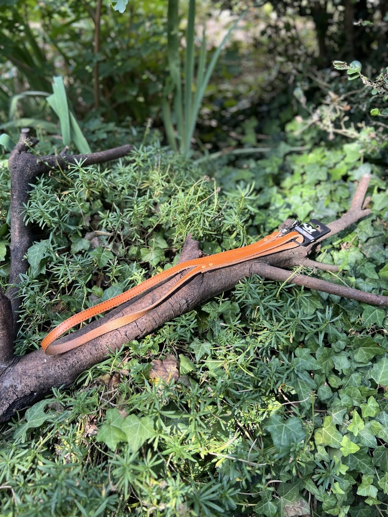 [2231.mscorange] Laisse cuir martin Sellier 100cm