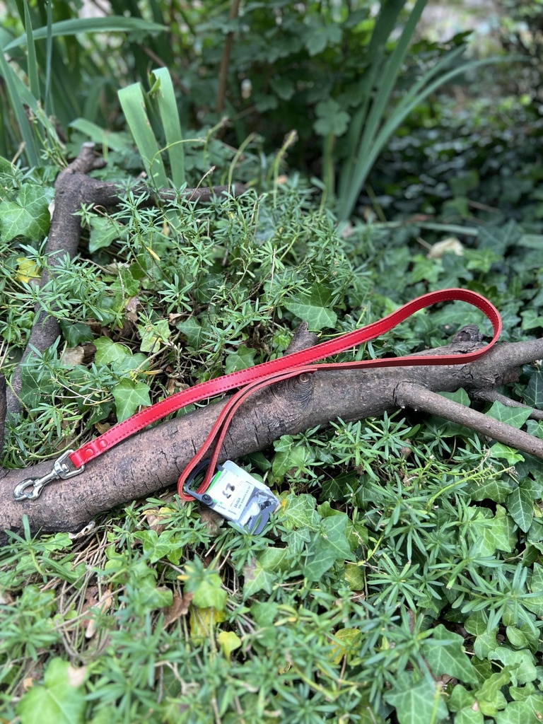 [2231.mscrouge] Laisse cuir martin Sellier 100cm