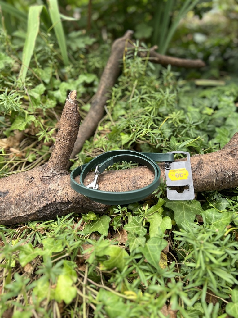 [2231.mscvertemoinsbonetat] Laisse cuir martin Sellier 100cm